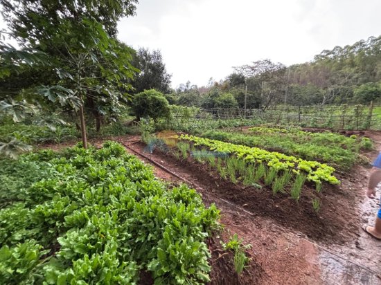 chacara-venda-albertos-formiga-mg-1006321