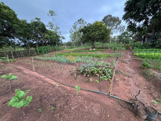chacara-venda-albertos-formiga-mg-1006323