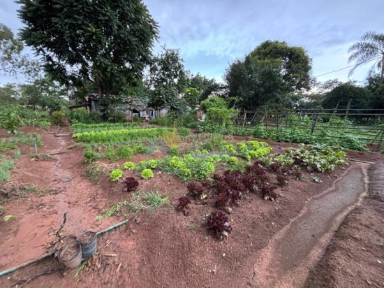 chacara-venda-albertos-formiga-mg-1006326
