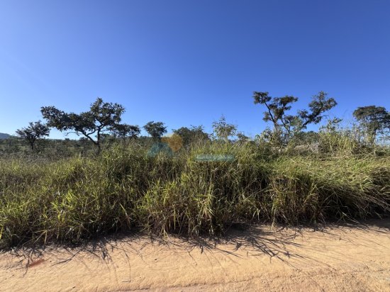 lote-venda-nova-vista-lagoa-formiga-mg-1000432