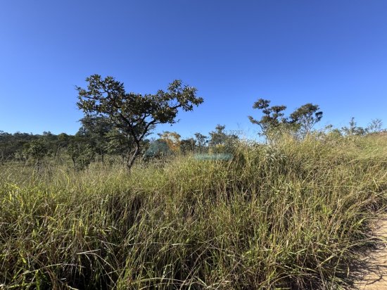 lote-venda-nova-vista-lagoa-formiga-mg-1000433