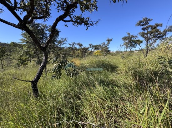 lote-venda-nova-vista-lagoa-formiga-mg-1000434