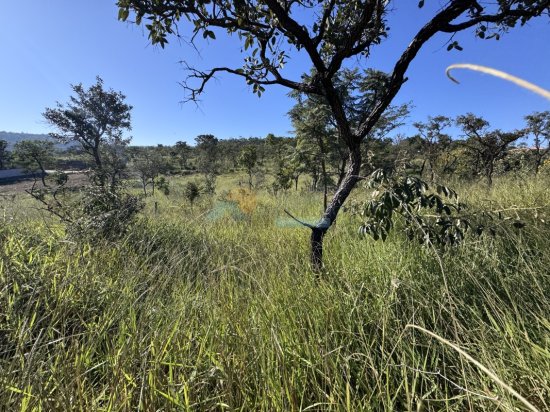 lote-venda-nova-vista-lagoa-formiga-mg-1000435