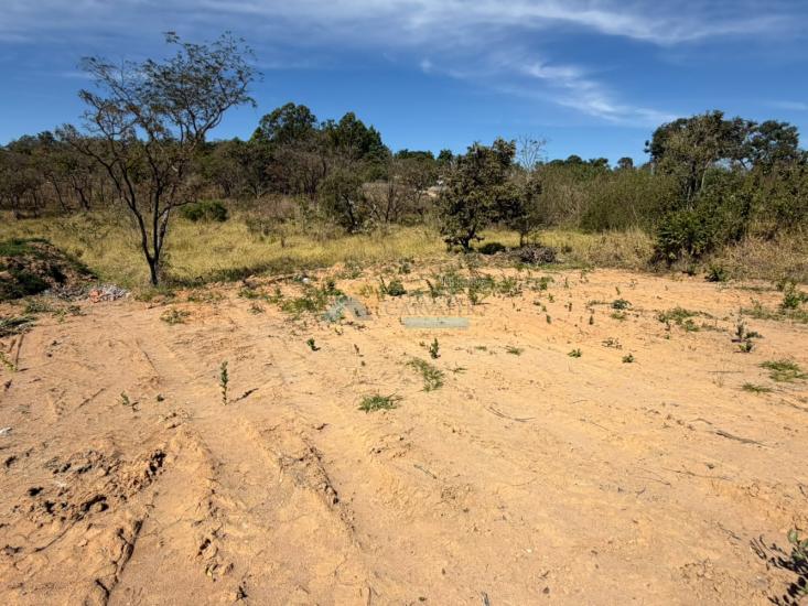 lote-venda-nova-vista-lagoa-formiga-mg-1026100