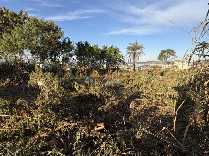 lote-venda-santa-tereza-cristo-formiga-mg-1024976