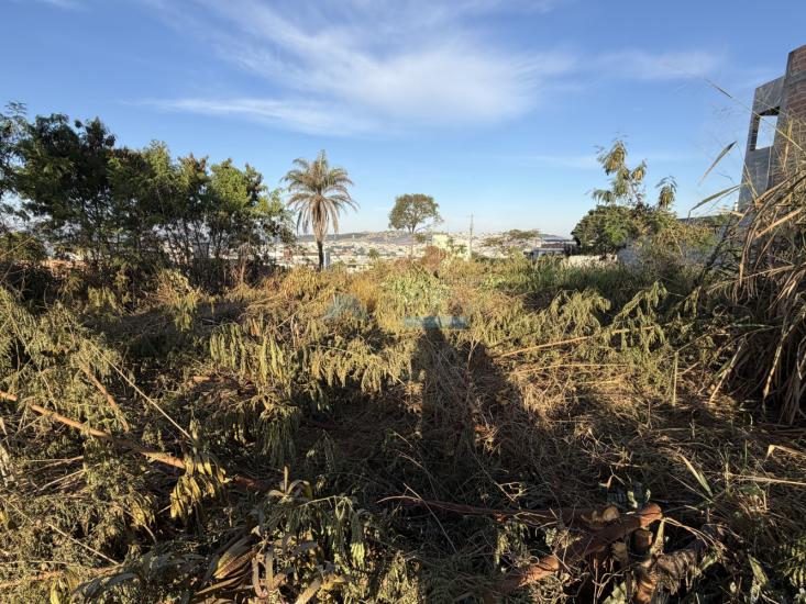 lote-venda-santa-tereza-cristo-formiga-mg-1024977