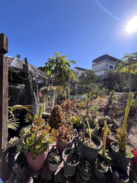 casa-venda-sagrado-coracao-de-jesus-formiga-mg-892726