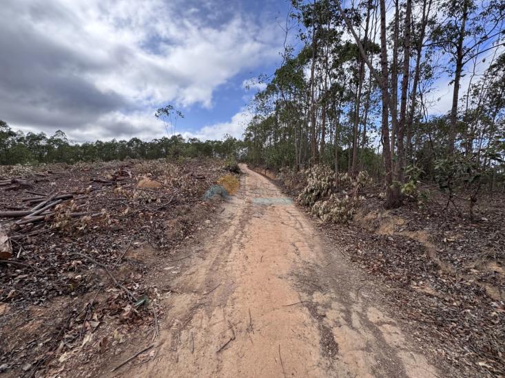 chacara-venda-fazenda-mata-dos-pereira-pedra-do-indaia-mg-1008893