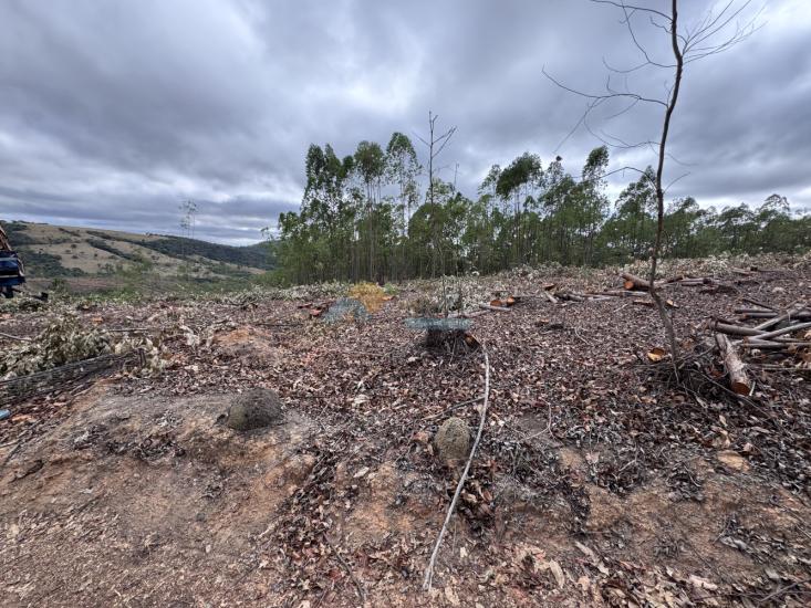 chacara-venda-fazenda-mata-dos-pereira-pedra-do-indaia-mg-1008894