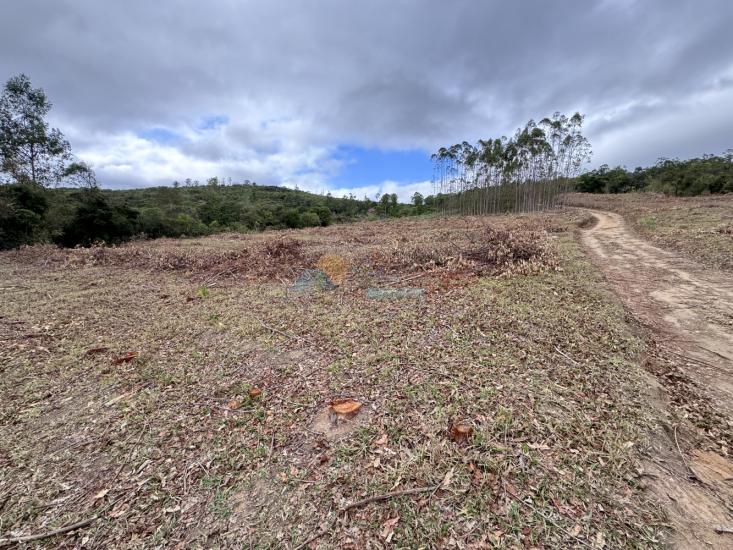 chacara-venda-fazenda-mata-dos-pereira-pedra-do-indaia-mg-1008905