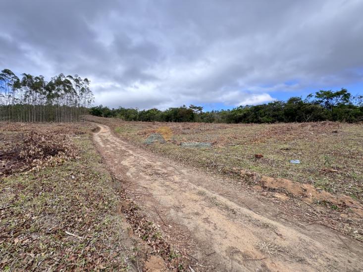 chacara-venda-fazenda-mata-dos-pereira-pedra-do-indaia-mg-1008906