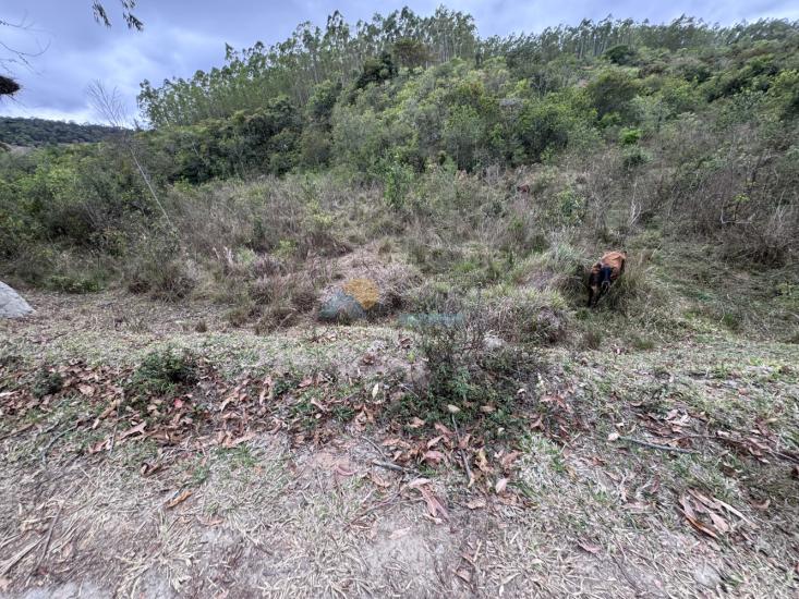 chacara-venda-fazenda-mata-dos-pereira-pedra-do-indaia-mg-1008910