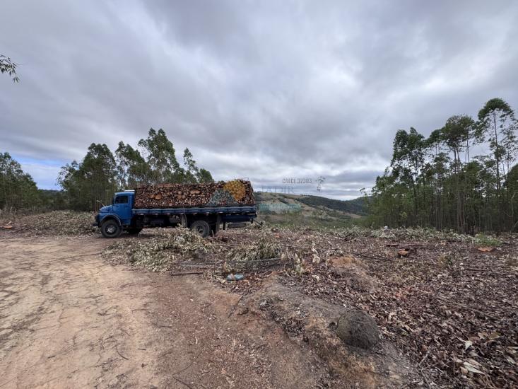 chacara-venda-fazenda-mata-dos-pereira-pedra-do-indaia-mg-1008895