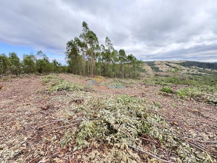 chacara-venda-fazenda-mata-dos-pereira-pedra-do-indaia-mg-1008896