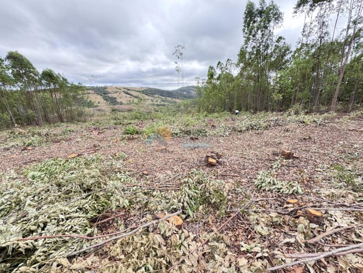 chacara-venda-fazenda-mata-dos-pereira-pedra-do-indaia-mg-1008897