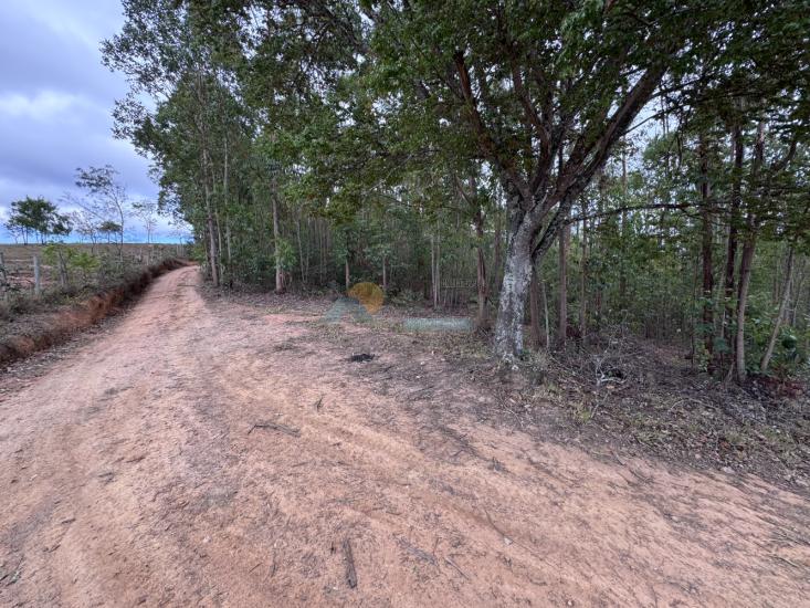 chacara-venda-fazenda-mata-dos-pereira-pedra-do-indaia-mg-1008900