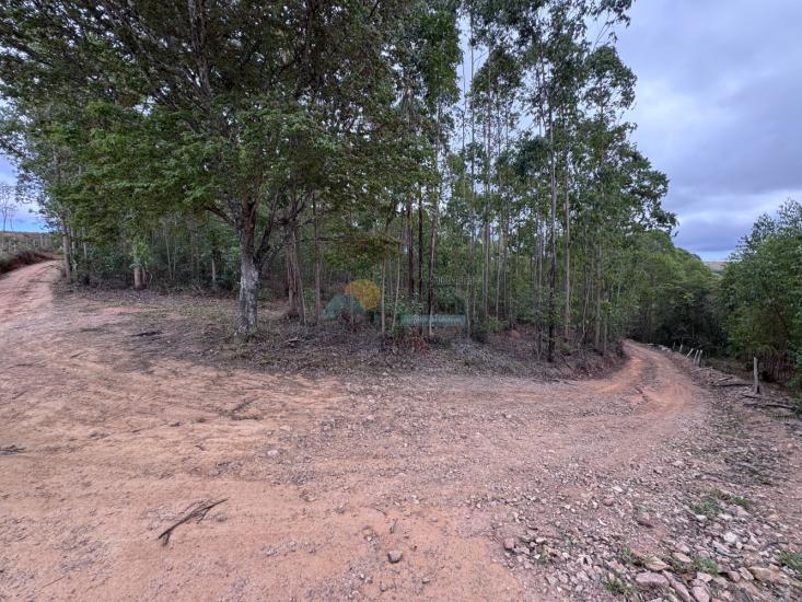 chacara-venda-fazenda-mata-dos-pereira-pedra-do-indaia-mg-1008901
