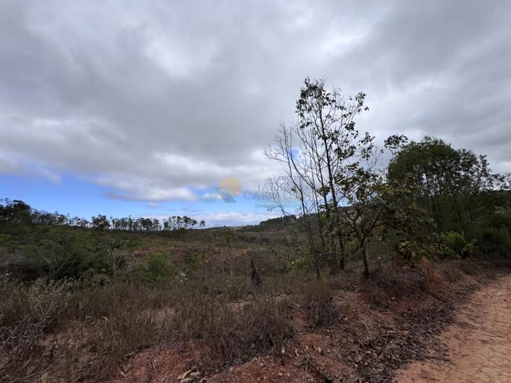 chacara-venda-fazenda-mata-dos-pereira-pedra-do-indaia-mg-1008902