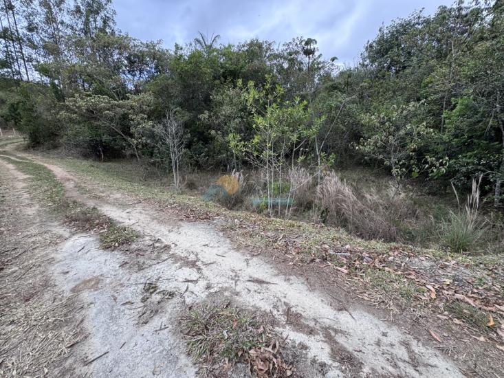 chacara-venda-fazenda-mata-dos-pereira-pedra-do-indaia-mg-1008912