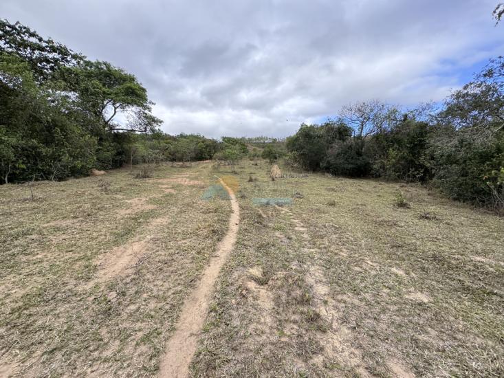 chacara-venda-fazenda-mata-dos-pereira-pedra-do-indaia-mg-1008914