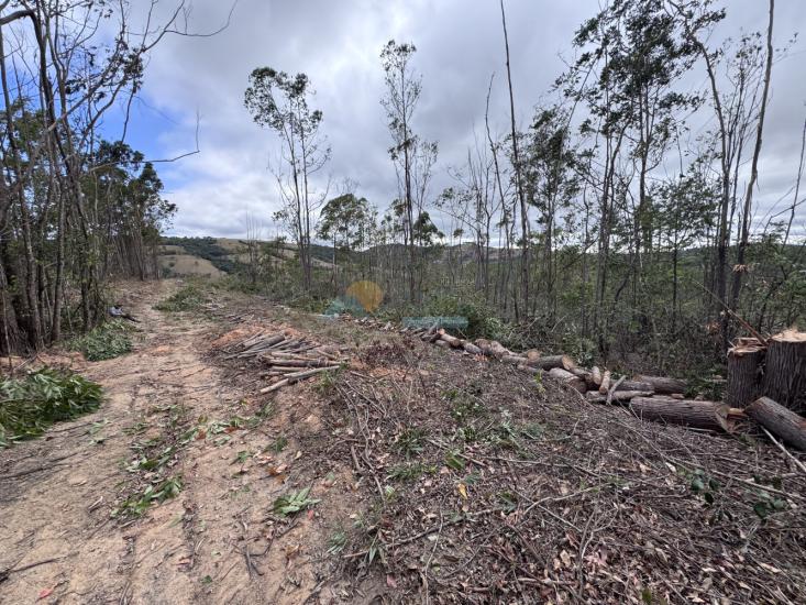chacara-venda-fazenda-mata-dos-pereira-pedra-do-indaia-mg-1008915