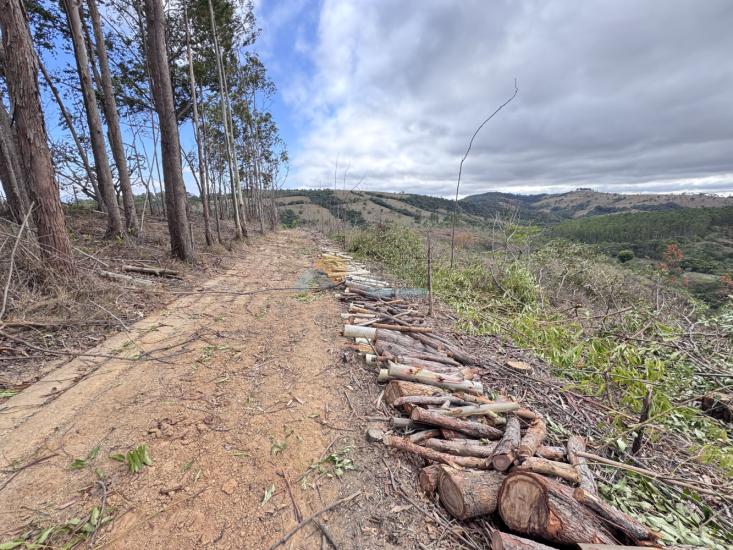 chacara-venda-fazenda-mata-dos-pereira-pedra-do-indaia-mg-1008916