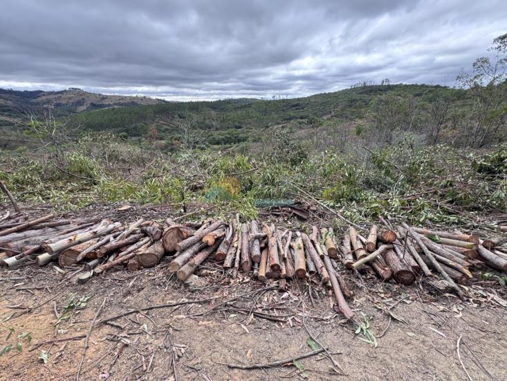 chacara-venda-fazenda-mata-dos-pereira-pedra-do-indaia-mg-1008917