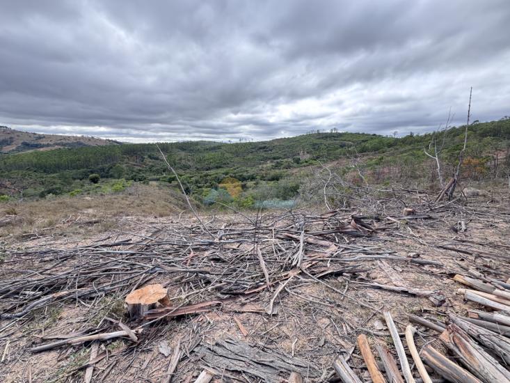 chacara-venda-fazenda-mata-dos-pereira-pedra-do-indaia-mg-1008919