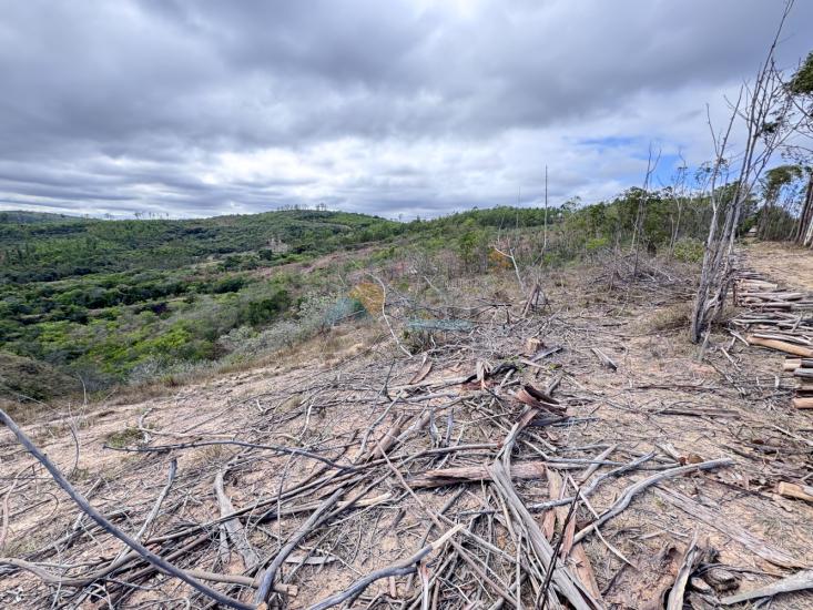 chacara-venda-fazenda-mata-dos-pereira-pedra-do-indaia-mg-1008920