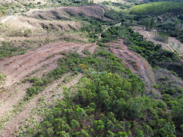chacara-venda-fazenda-mata-dos-pereira-pedra-do-indaia-mg-1008955