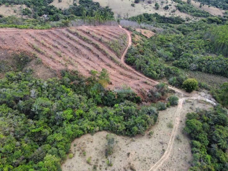 chacara-venda-fazenda-mata-dos-pereira-pedra-do-indaia-mg-1008957