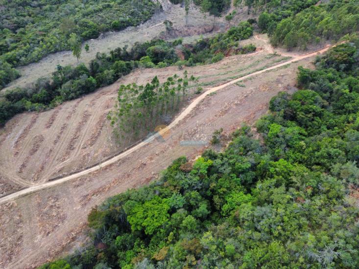 chacara-venda-fazenda-mata-dos-pereira-pedra-do-indaia-mg-1008960