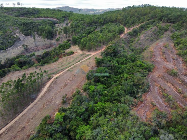 chacara-venda-fazenda-mata-dos-pereira-pedra-do-indaia-mg-1008963