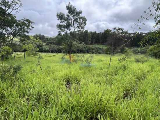 lote-venda-maringa-formiga-mg-806320