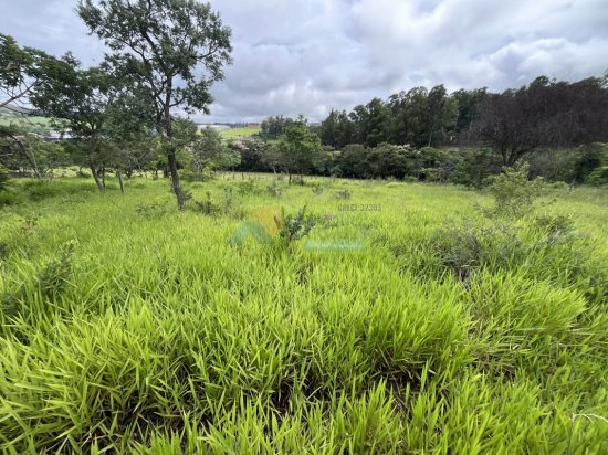 lote-venda-maringa-formiga-mg-806321