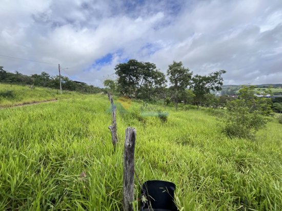 lote-venda-maringa-formiga-mg-806323