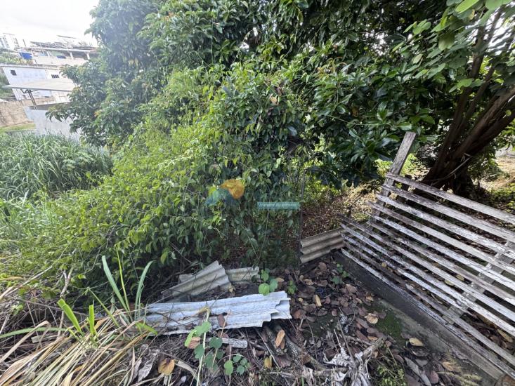 lote-venda-sagrado-coracao-de-jesus-formiga-mg-1023706
