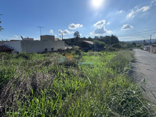 lote-venda-dom-couto-formiga-mg-998365