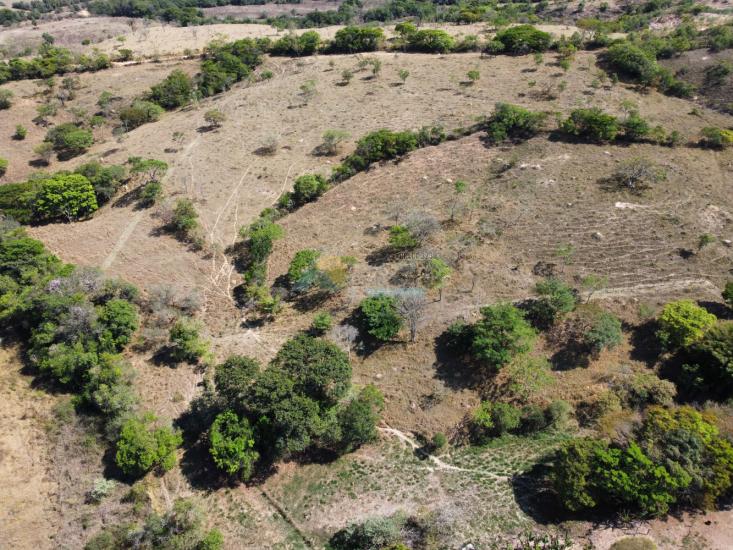 chacara-venda-zona-rural-padre-trindade-formiga-mg-1009108