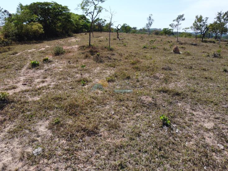 chacara-venda-zona-rural-padre-trindade-formiga-mg-1009113