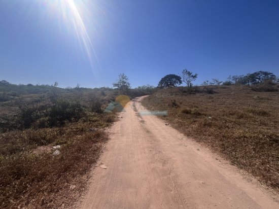 chacara-venda-sitio-fazenda-papagaio-formiga-mg-911403