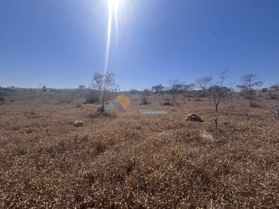 chacara-venda-sitio-fazenda-papagaio-formiga-mg-911420