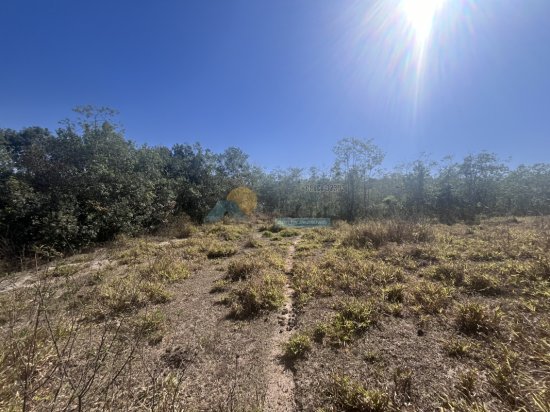 chacara-venda-sitio-fazenda-papagaio-formiga-mg-911406