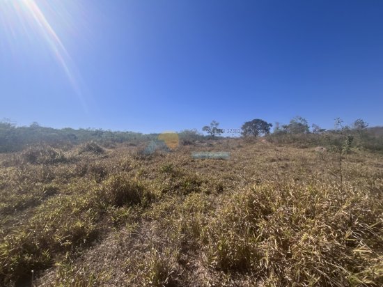 chacara-venda-sitio-fazenda-papagaio-formiga-mg-911407