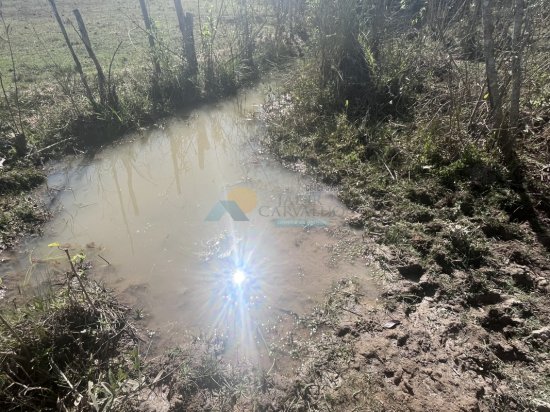 chacara-venda-sitio-fazenda-papagaio-formiga-mg-911409