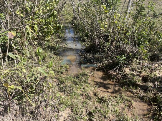 chacara-venda-sitio-fazenda-papagaio-formiga-mg-911410